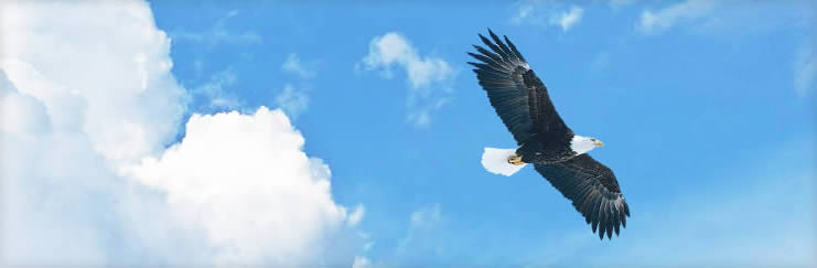 企业文化.jpg 企业文化.jpg